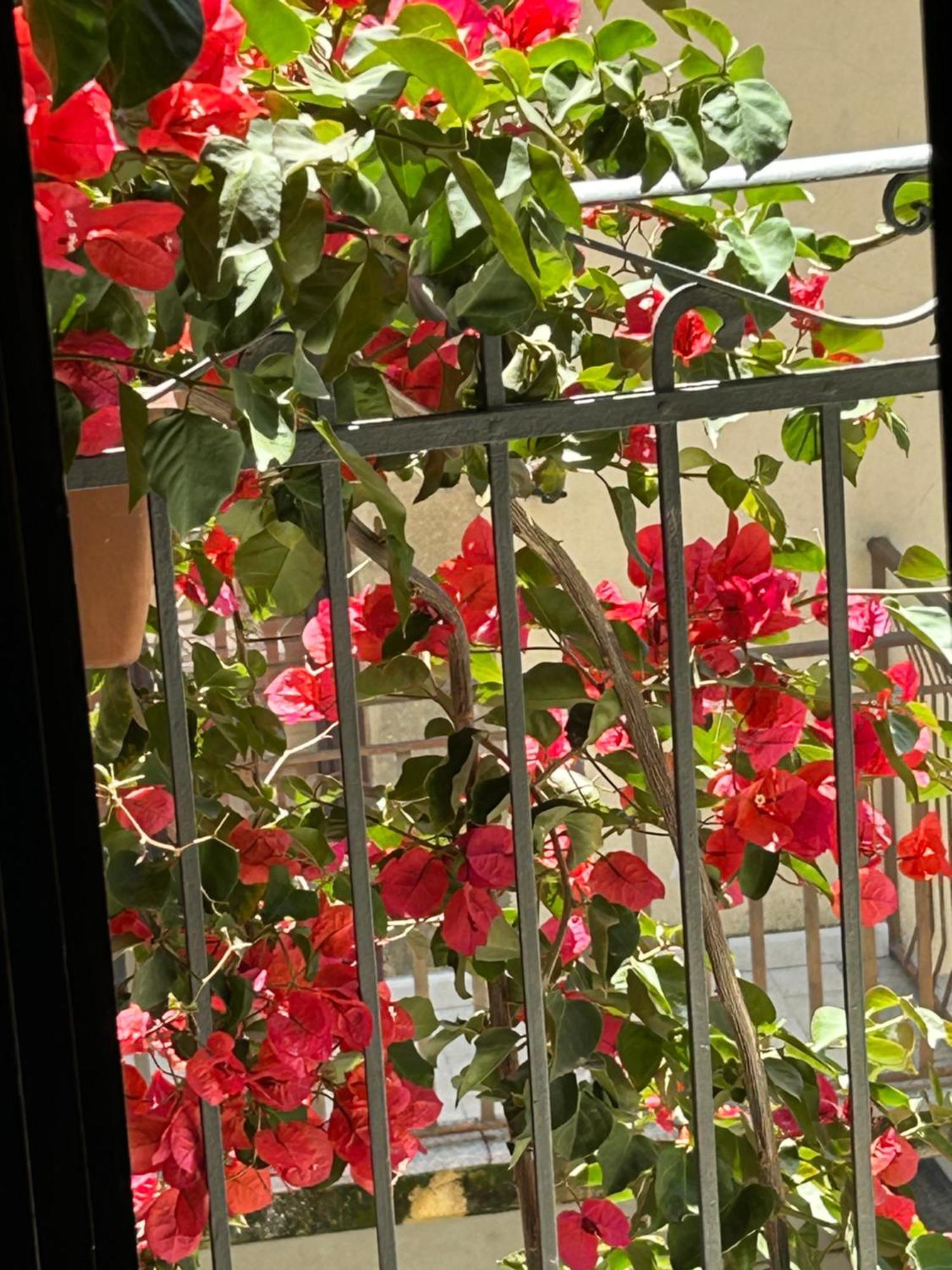 B&B L'Angolo Sulla Piazza Mirabella Imbaccari Экстерьер фото