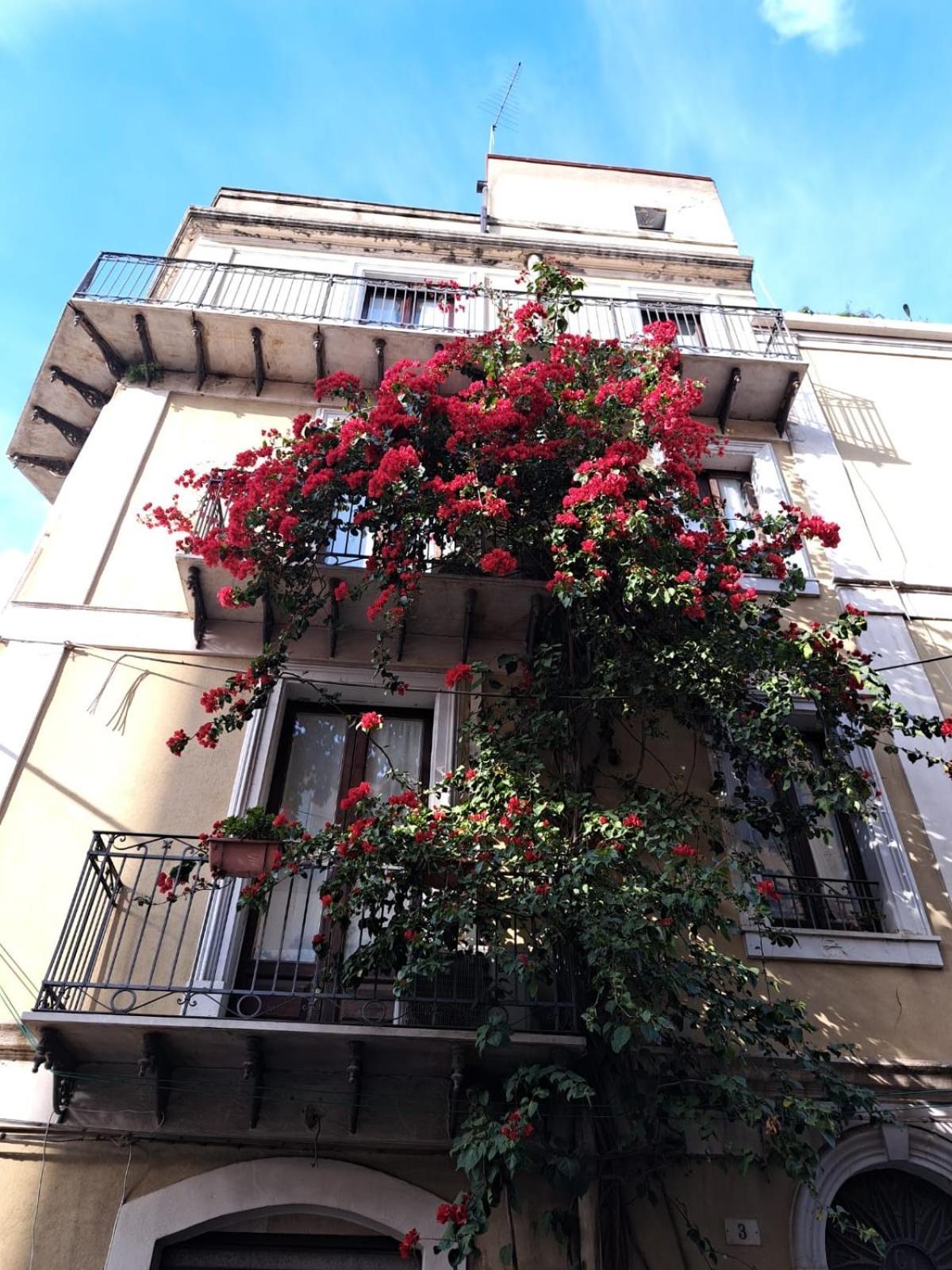 B&B L'Angolo Sulla Piazza Mirabella Imbaccari Экстерьер фото